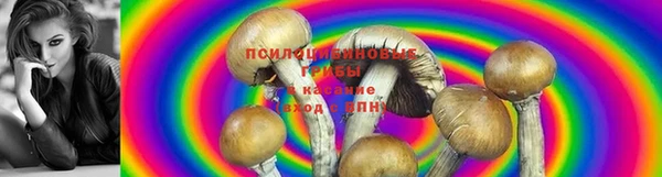 ALPHA PVP Алексеевка