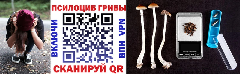 Псилоцибиновые грибы прущие грибы Грайворон